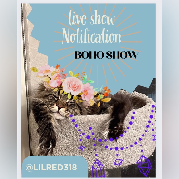 Show notification! Like this to be notified of my shows! Come say hi! - Picture 3 of 5